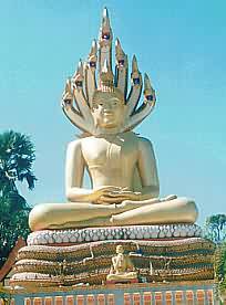 Buddha Image in protected Position, Chiang Mai, Thailand