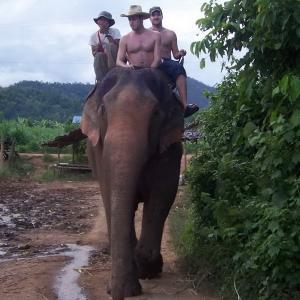 Elephant ride through the jungle