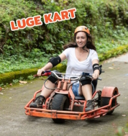 Luge Cart ride through the jungle of Chiang Mai