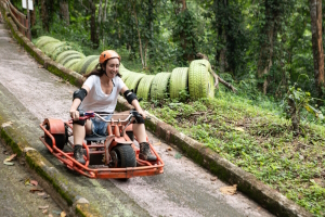 Luge Cart ride through the jungle of Chiang Mai