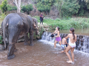 Playing with elephants in Chiang Mai