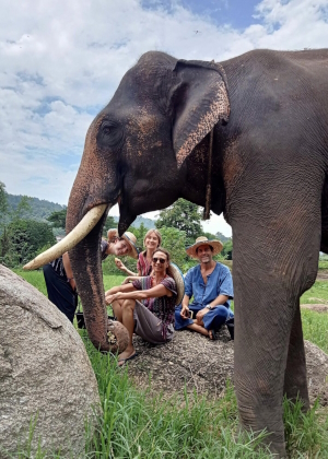 Elephant care in Chiang Mai