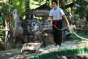 Monkey Show at Monkey Center