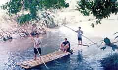 Bamboo rafting in Chiang Mai