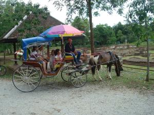 Horse carriage ride through Wiang Kum Kam, Chiang Mai, Thailand 