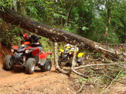 Atv tour - offroad on the jungle trail, Chiang Mai, Thailand 