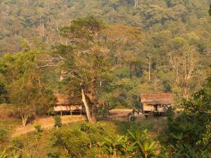 Hilltribe village in the mountains of Chiang Mai, Thailand 