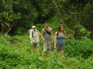 Tour group trekking in the mountains of