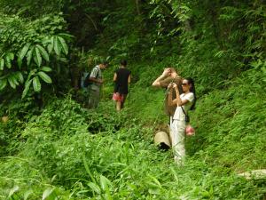 Tour group trekking in the mountains of