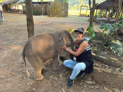 Baby Elephant