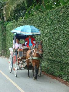 Horse Carriage Ride through Wiang Kum Kam, Chiang Mai, Thailand 