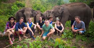 tour group with elephants